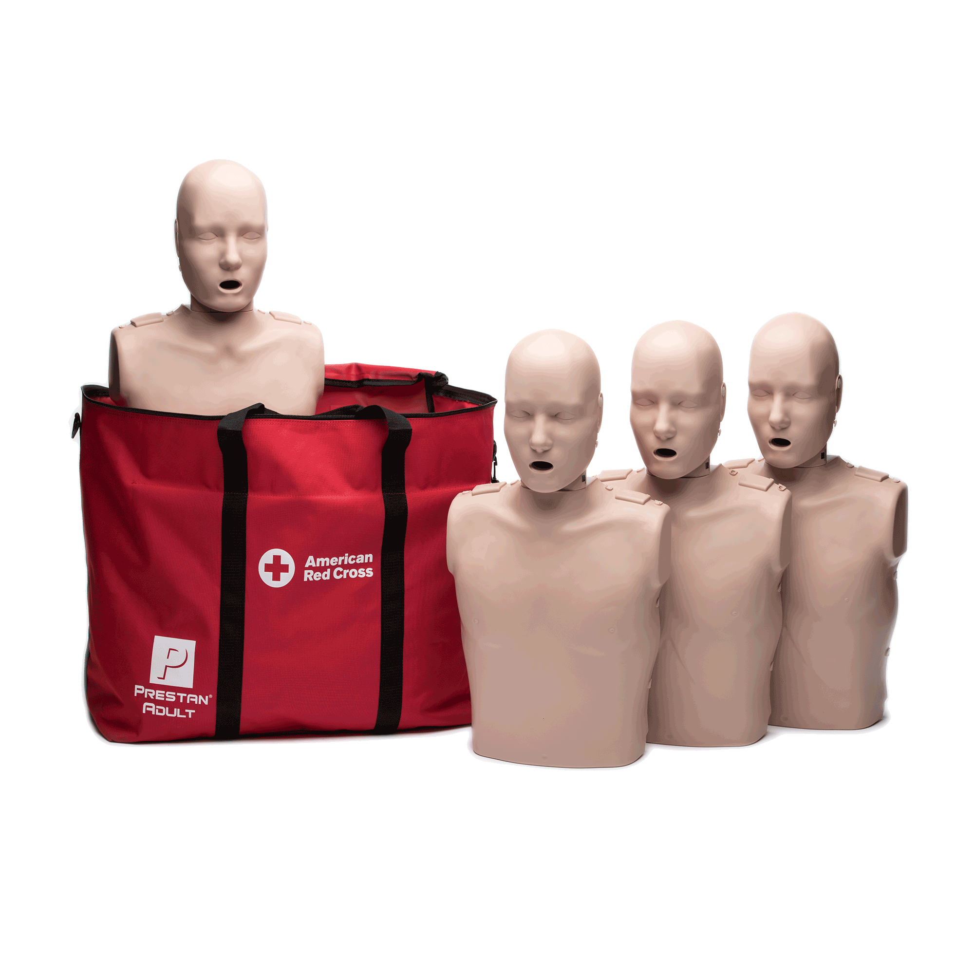 CPR Training Manikins